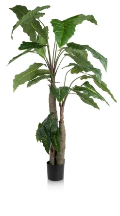 Alocasia Giant Tree H180cm kunstplant in de kleur Groen