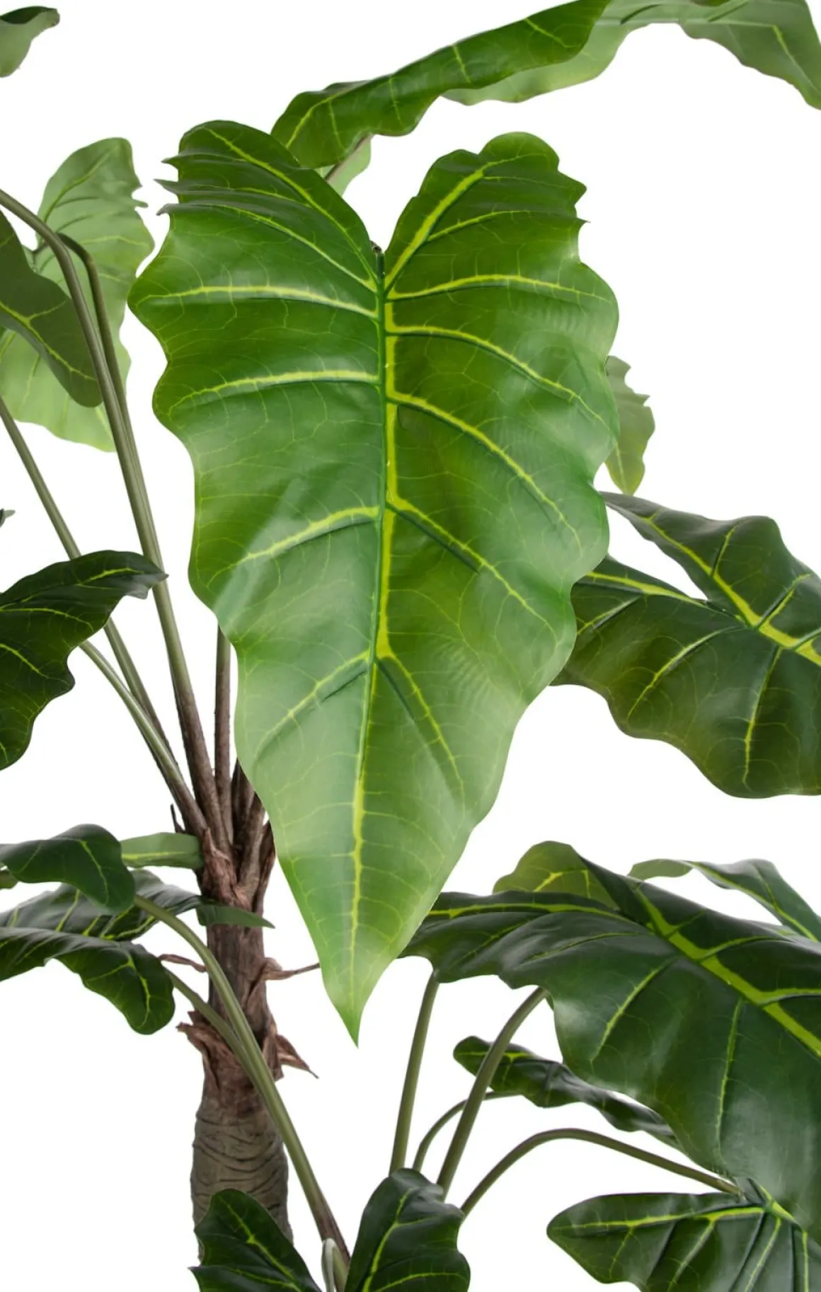 Alocasia Giant Tree H180cm kunstplant in de kleur Groen
