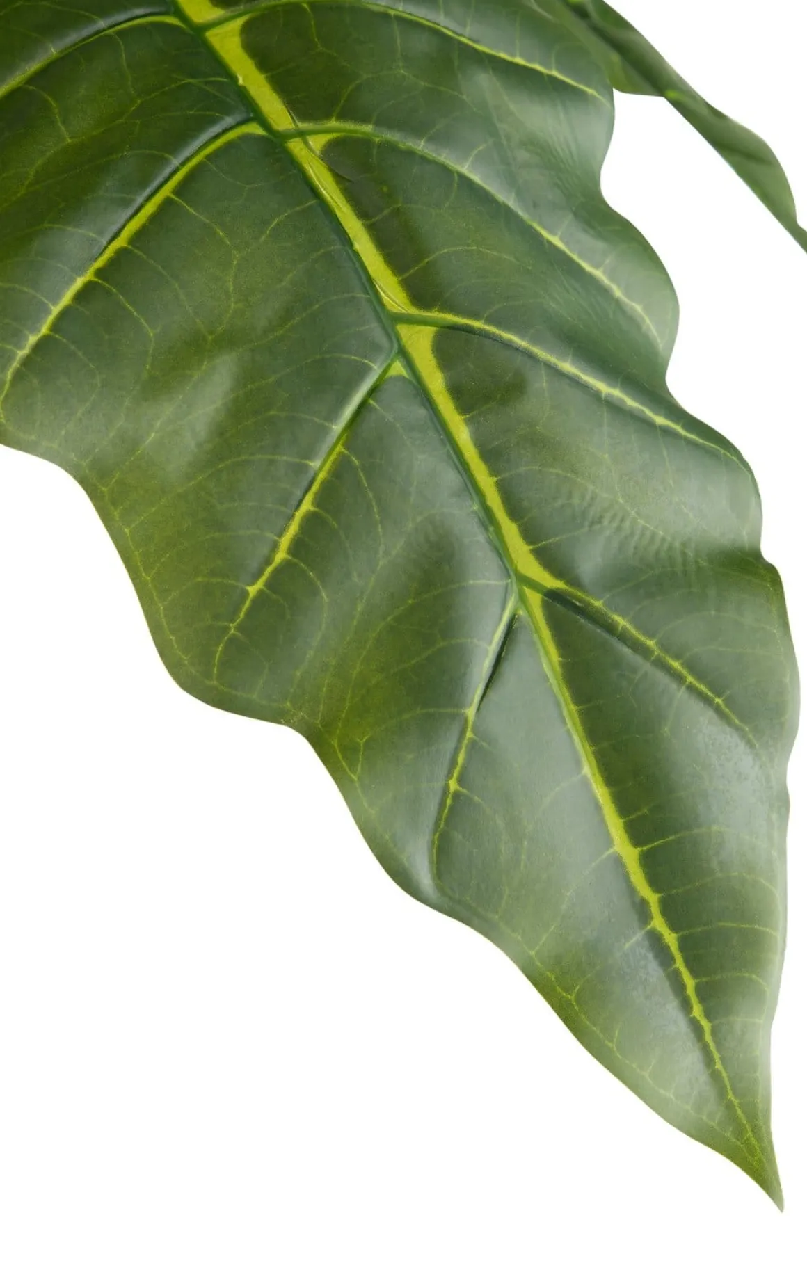 Alocasia Giant Tree H180cm kunstplant in de kleur Groen