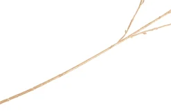 Bauhinia Branch H115cm kunstbloem in de kleur Paars - COCOmaison