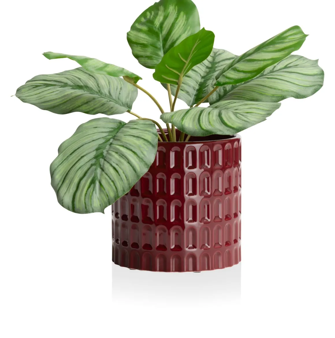 Bisko pot (H16.5cm) in de kleur rod - COCOmaison