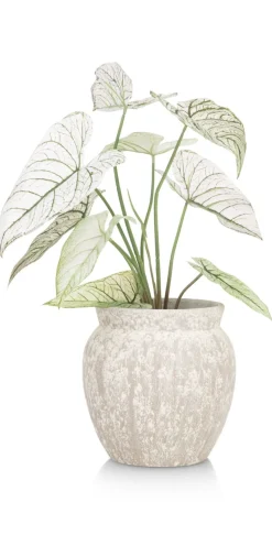 Braga pot H25cm in de kleur Beige - COCOmaison