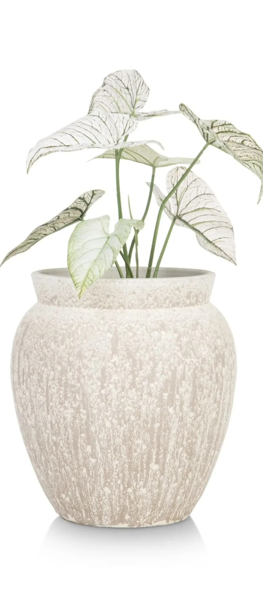 Braga pot H40cm in de kleur Beige - COCOmaison