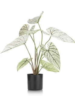 Caladium H60cm kunstplant in de kleur Groen - COCOmaison