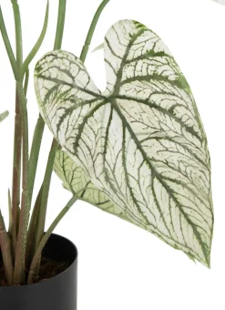 Caladium H60cm kunstplant in de kleur Groen - COCOmaison