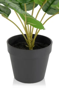 Calathea Orbifolia H45cm kunstplant in de kleur Groen