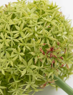 COCOmaison, Allium spray kunstbloem H90cm - Groen
