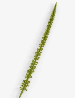 COCOmaison, Donkey Tail kunstbloem H86cm - Groen