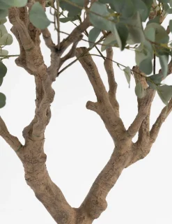 COCOmaison, Eucalyptus Tree kunstplant H240cm - Groen