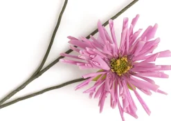 Dahlia Spider Spray kunstbloem (H75cm) in de kleur Paars