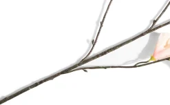 Hibiscus Branch H115cm kunstbloem in de kleur Oranje