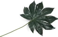 Kunstbloem h55 cm Fatsia Leaf | COCOmaison