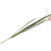 Kunstbloem h120 cm Pampus Grass | COCOmaison