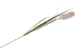 Kunstbloem h120 cm Pampus Grass | COCOmaison