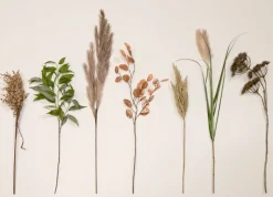 Kunstbloem h120 cm Pampus Grass | COCOmaison