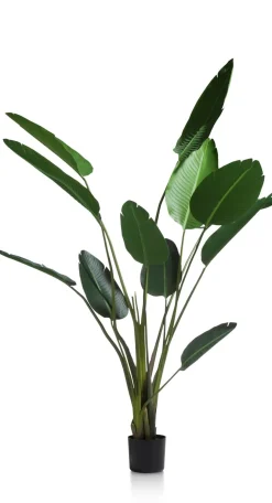Kunstplant - 150 cm Strelitzia Nicolai | COCOmaison