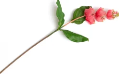 Medinilla Spray kunstbloem (H110cm) in de kleur Oranje