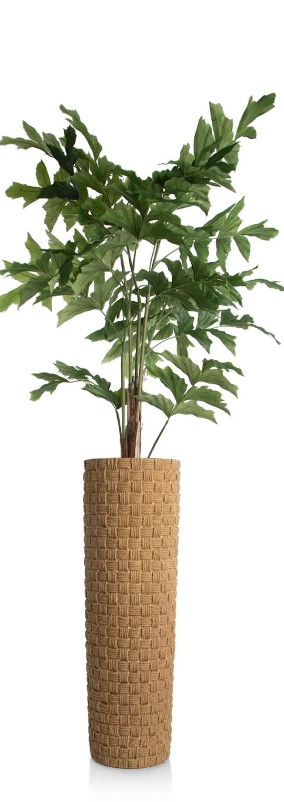 Noud pot H83,5cm in de kleur Bruin - COCOmaison