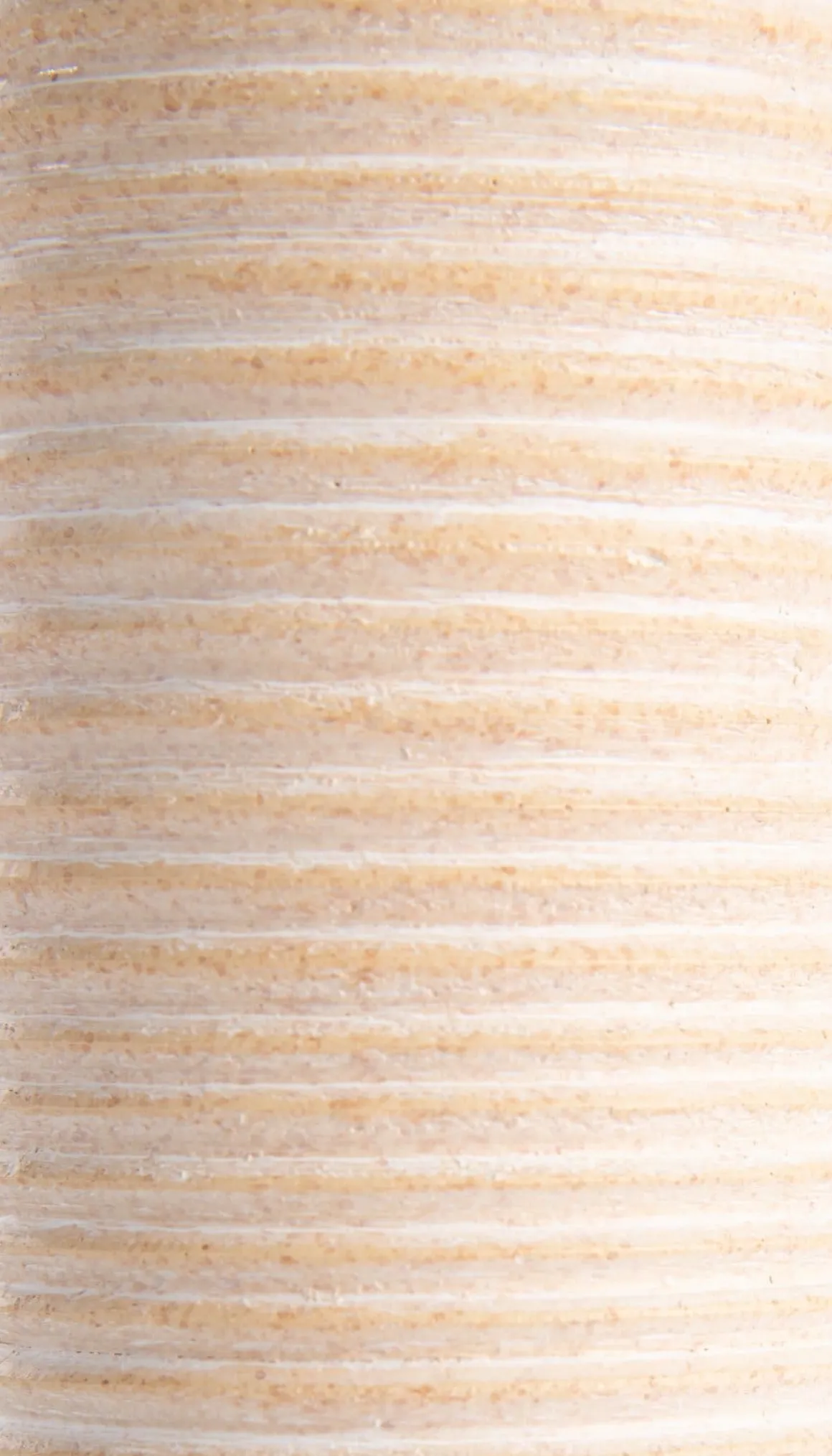 Nova vaas H19cm in de kleur Oranje - COCOmaison