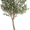 Olive Tree H180cm kunstplant in de kleur Groen - COCOmaison