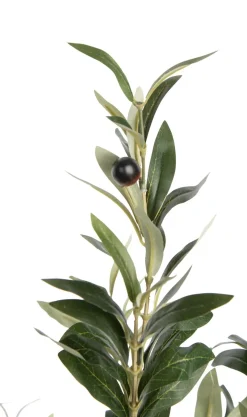 Olive Tree H180cm kunstplant in de kleur Groen - COCOmaison