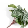 Peperomia Bush H25cm kunstbloem in de kleur Groen - COCOmaison