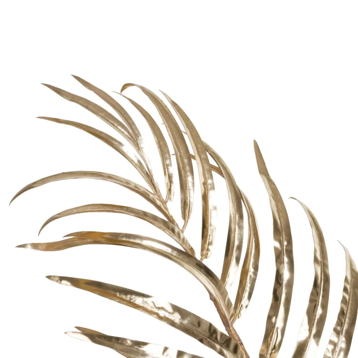 Plante h105 cm Areca Palm | COCOmaison