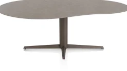 Saluti, EETKAMERTAFEL ORGANISCH 210 X 120 CM. - CENTRALE POOT - STEELBROWN - Lava