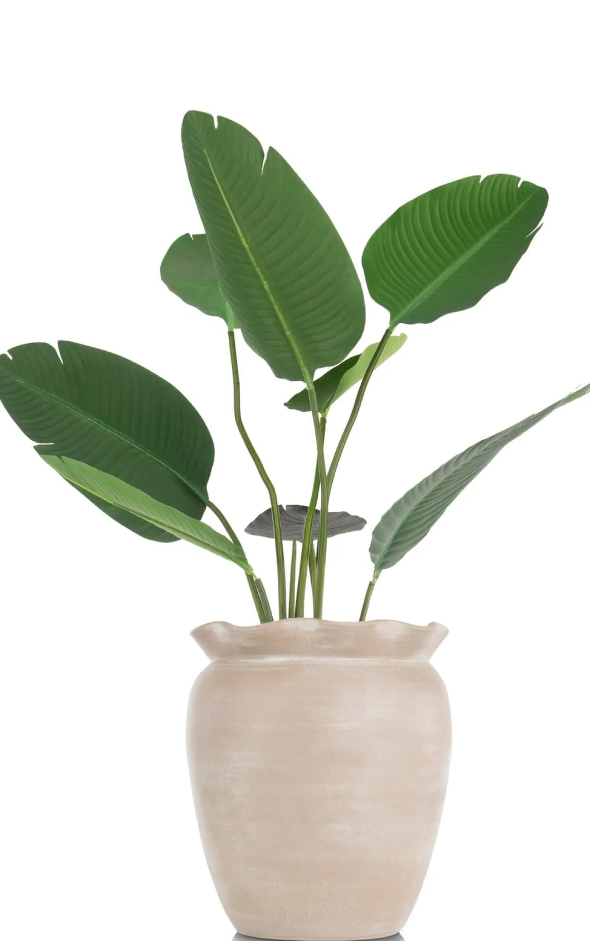 Wave pot H40cm in de kleur Beige - COCOmaison